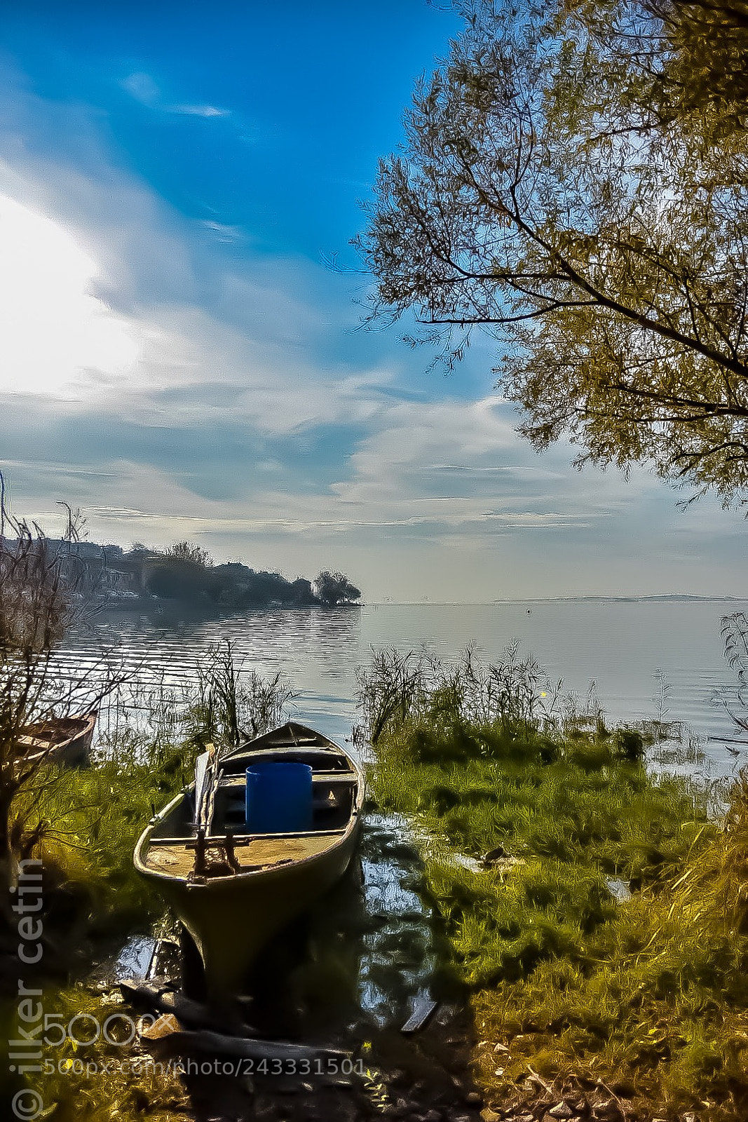 Nikon D7200 sample photo. Untitled photography