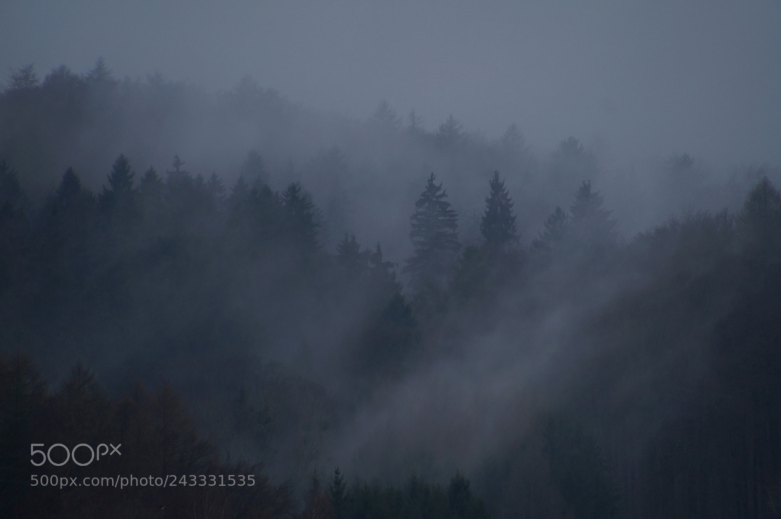 Sony SLT-A57 sample photo. Misty photography