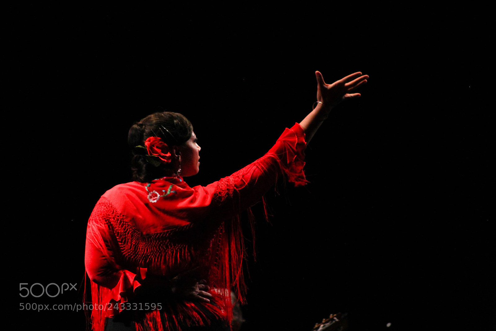 Canon EOS 1200D (EOS Rebel T5 / EOS Kiss X70 / EOS Hi) sample photo. Flamenco in the theater photography