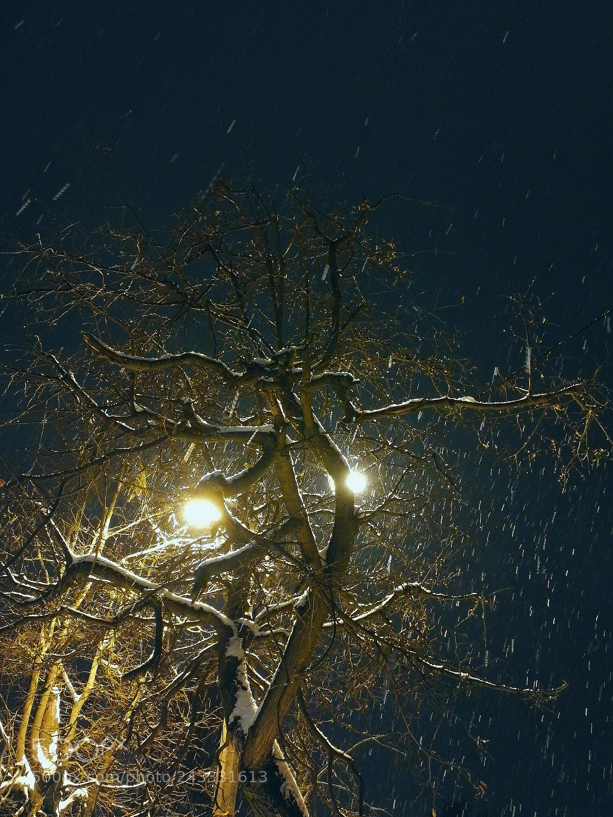 HUAWEI Honor 9 sample photo. Snowfall photography