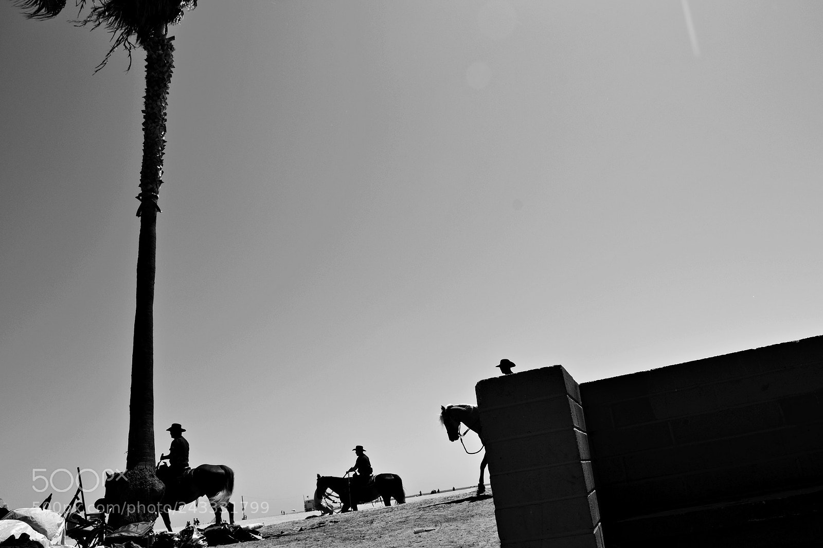Nikon D3100 sample photo. Venice popo photography
