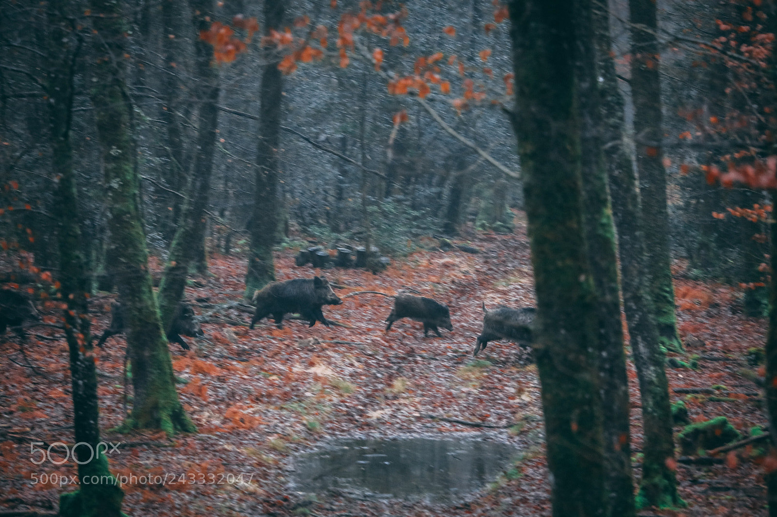 Canon EOS 5DS sample photo. 1a7a0354-2.jpg photography
