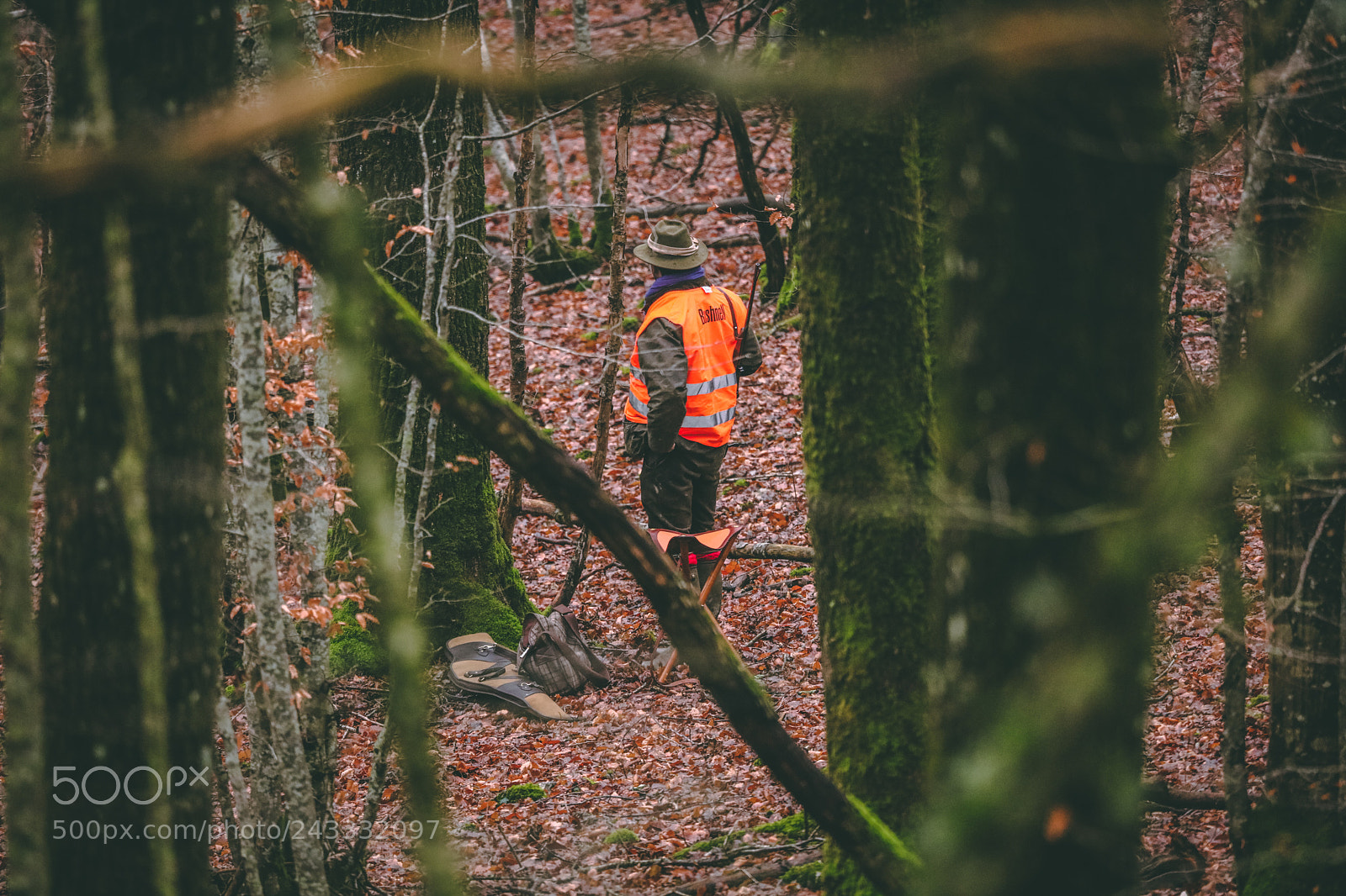 Canon EOS 5DS sample photo. 1a7a0579-2.jpg photography