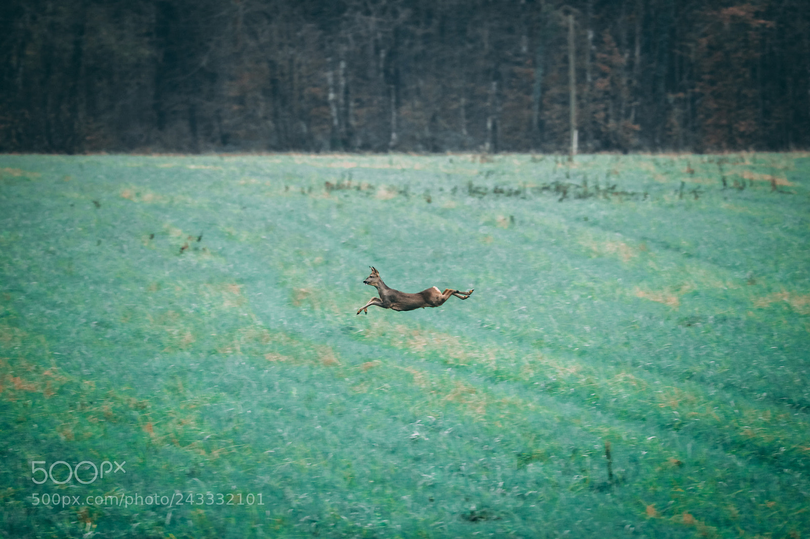 Canon EOS 5DS sample photo. 1a7a0593-2.jpg photography