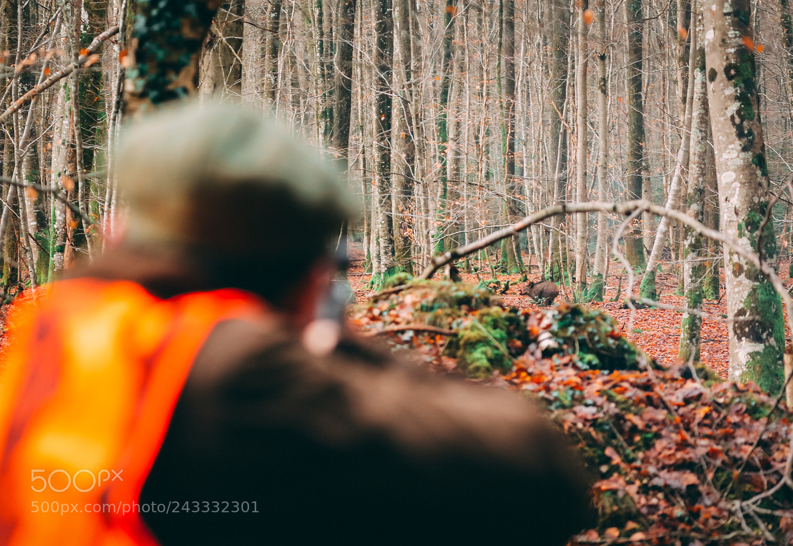 Canon EOS 5DS sample photo. Aa photography