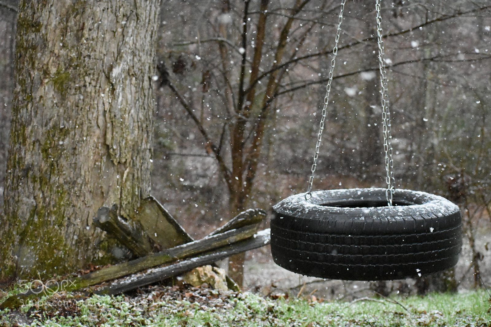 Nikon D3400 sample photo. Tire swing photography