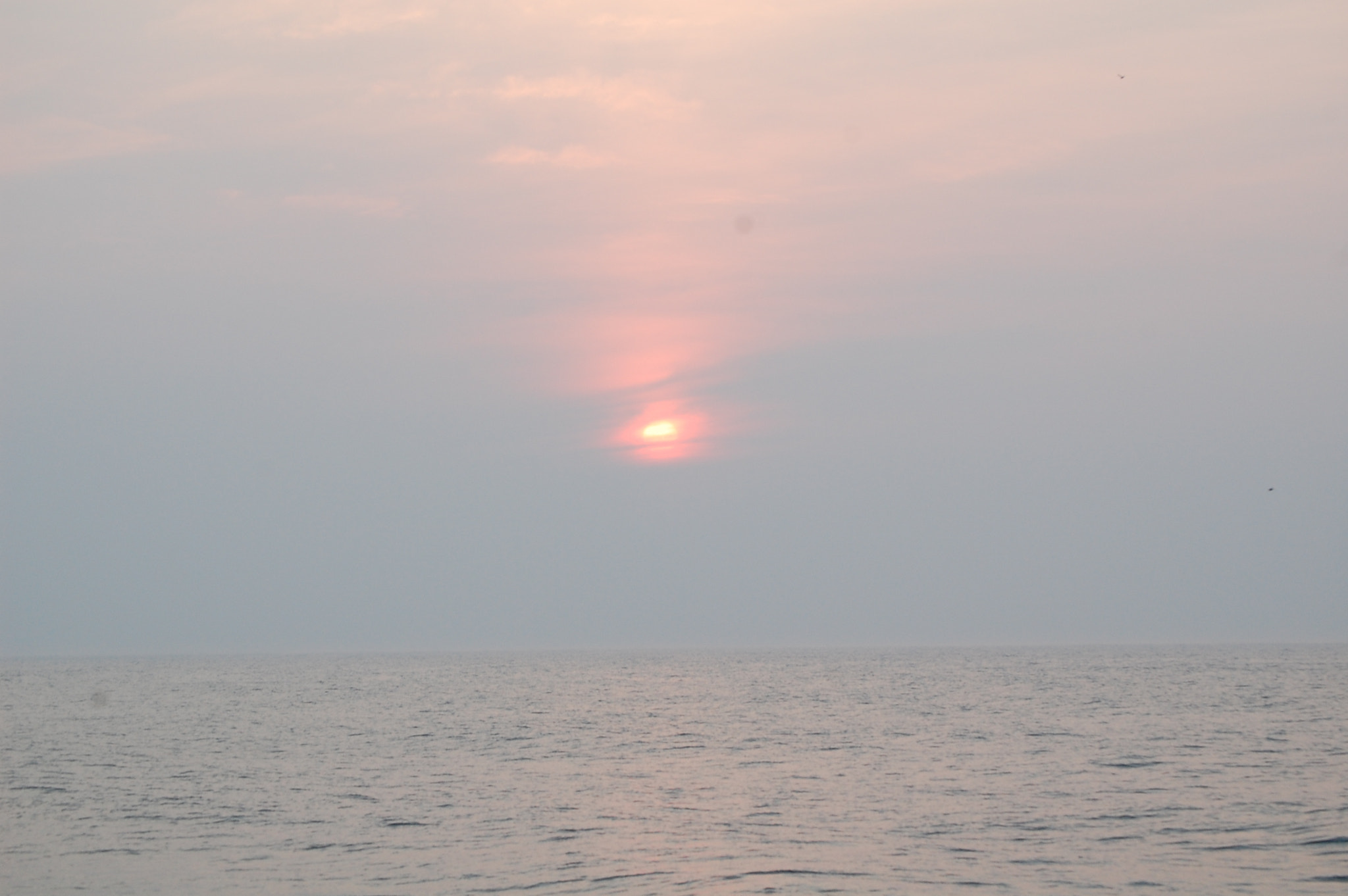 Nikon D40 sample photo. () photography
