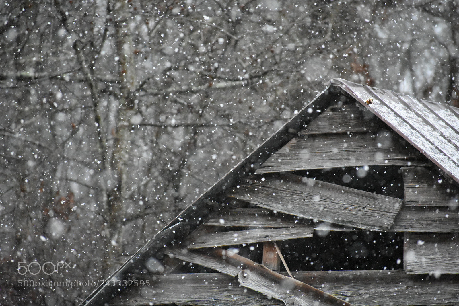 Nikon D3400 sample photo. Winter photography