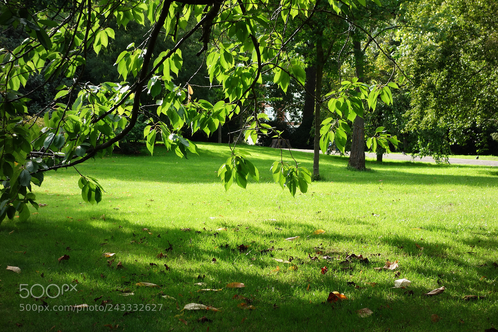 Sony Cyber-shot DSC-RX100 sample photo. James barry, peter pan photography