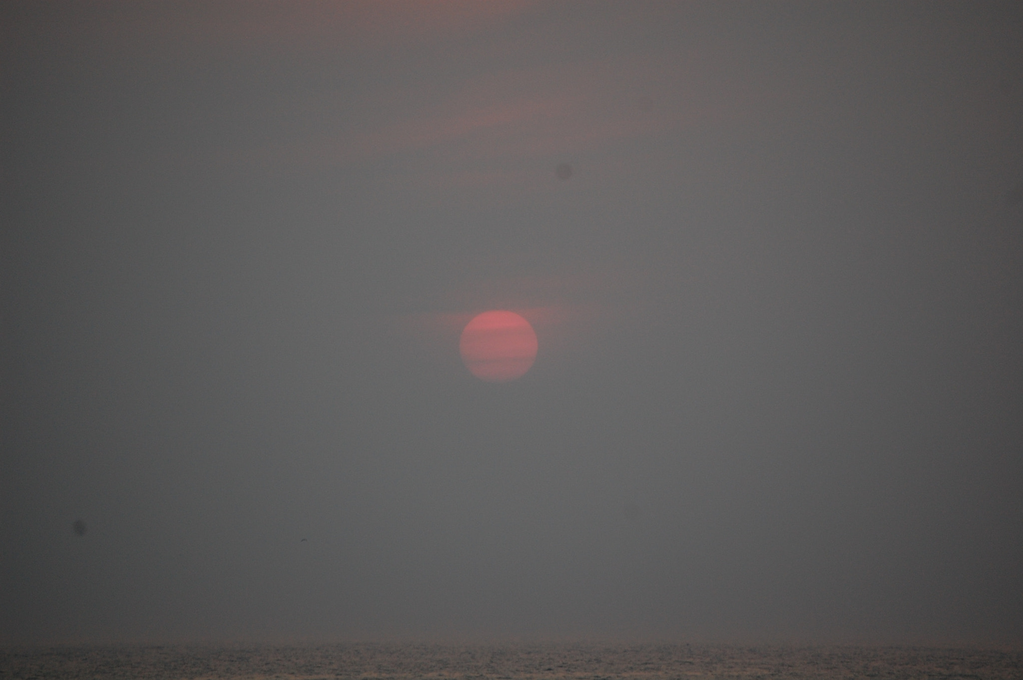 Nikon D40 sample photo. () photography