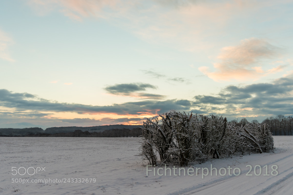 Nikon D810 sample photo. Fire in the sky photography