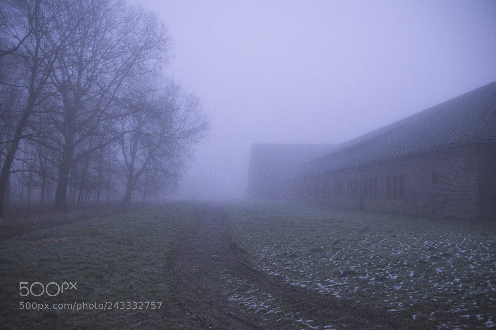 Sony SLT-A68 sample photo. Januar fog photography