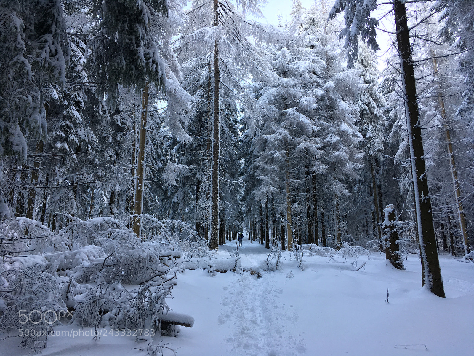 Apple iPhone SE sample photo. Winter hiking photography