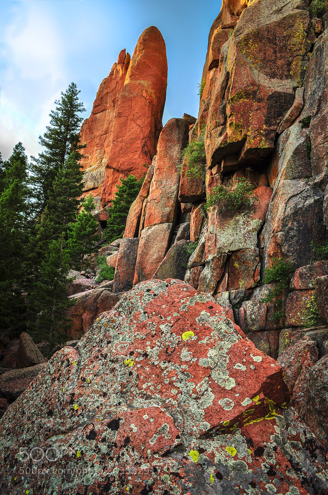 Nikon D5000 sample photo. Natures artistry of color photography