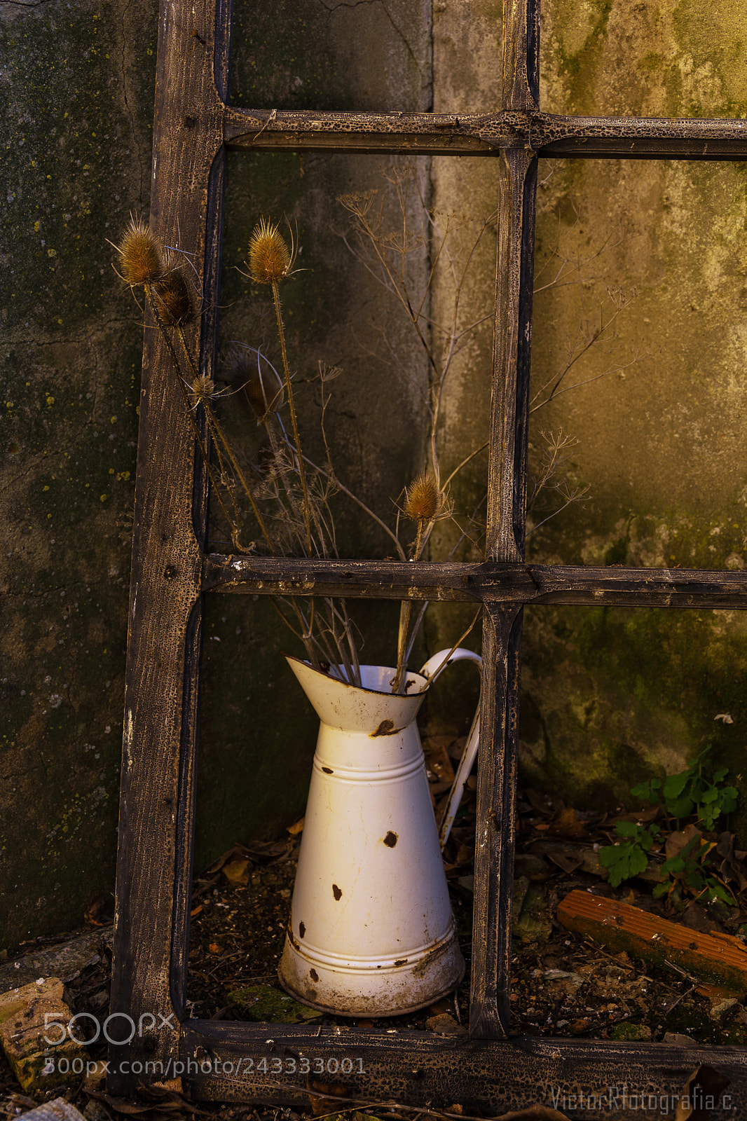Nikon D7100 sample photo. Abandono. photography