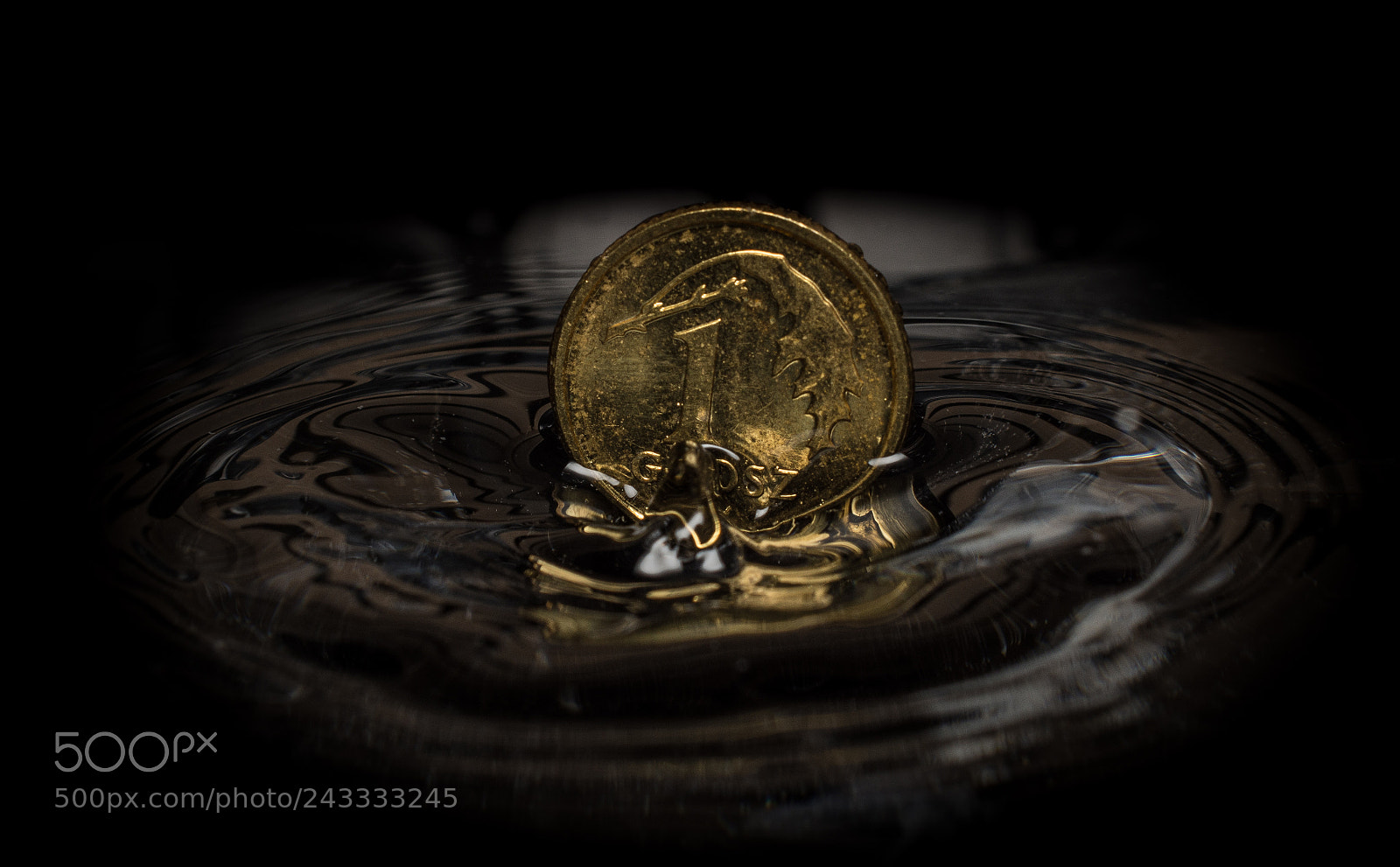 Nikon D7200 sample photo. 1 polish cent drop photography