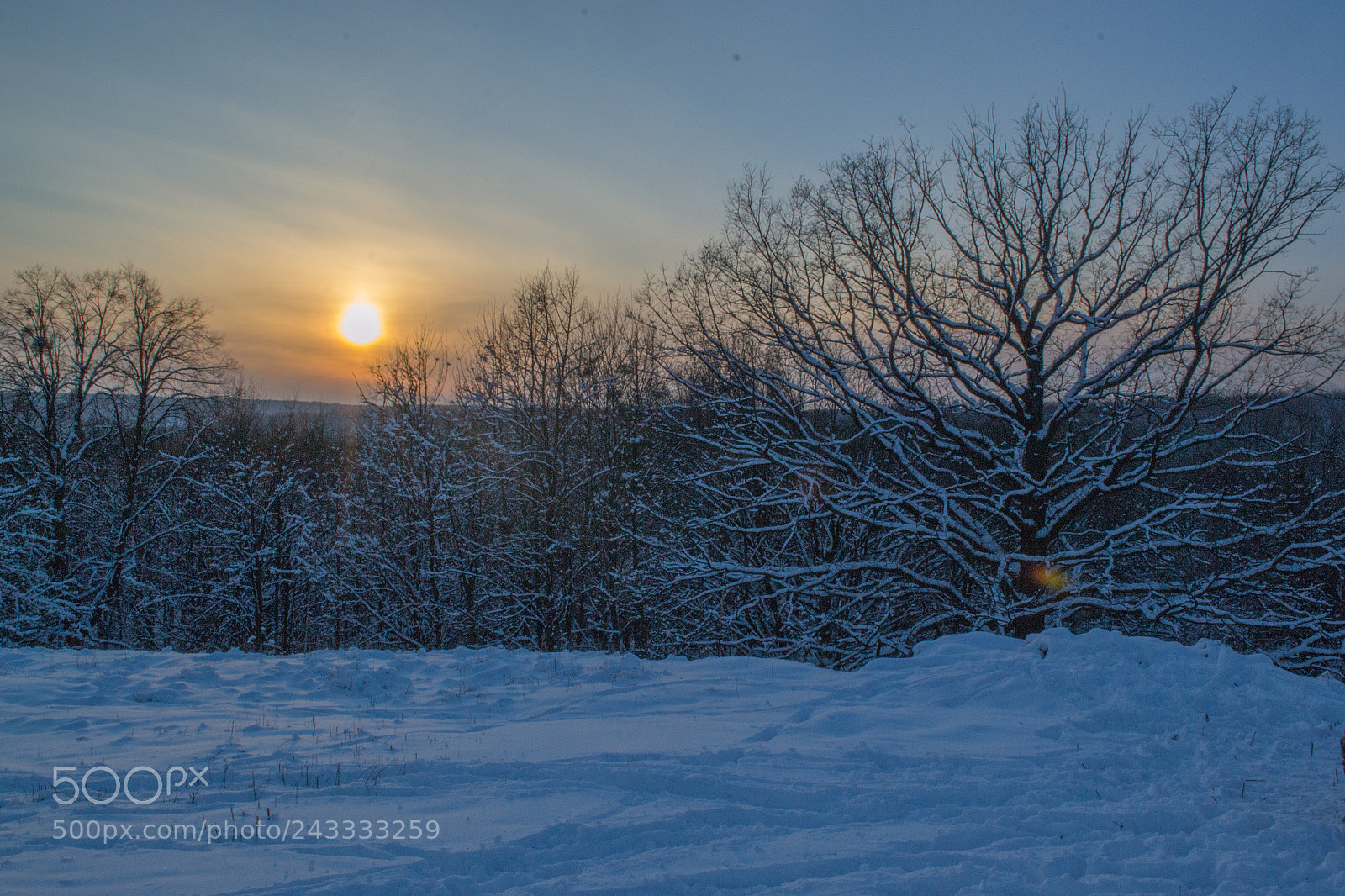 Nikon D3100 sample photo. Winter sunset photography
