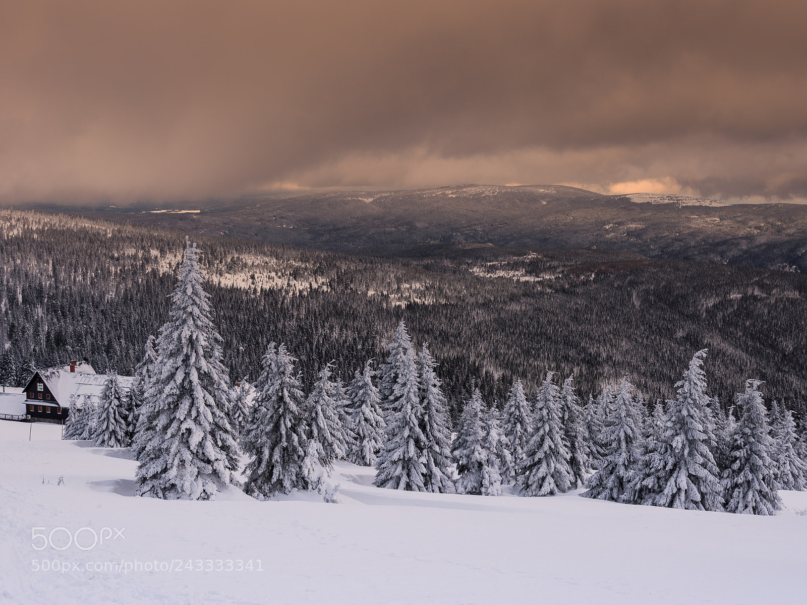Nikon D610 sample photo. In winter outfit photography