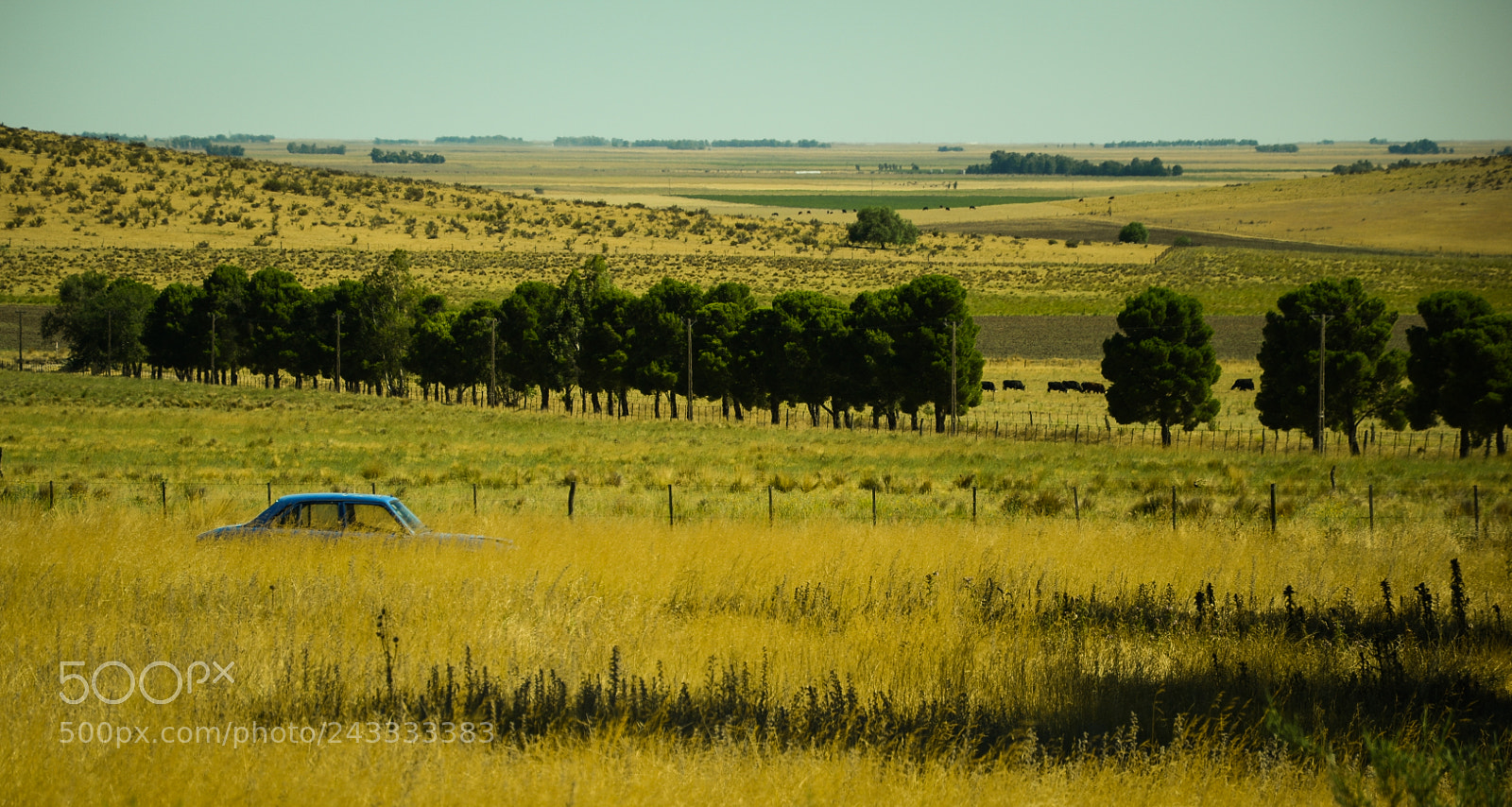 Nikon D3100 sample photo. Como se pueda photography