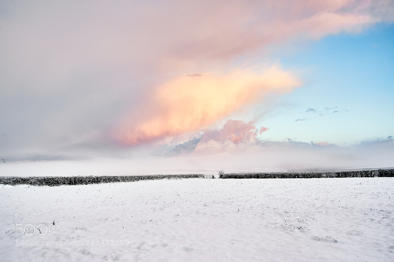 Nikon D700 sample photo. Misty winter sunrise photography