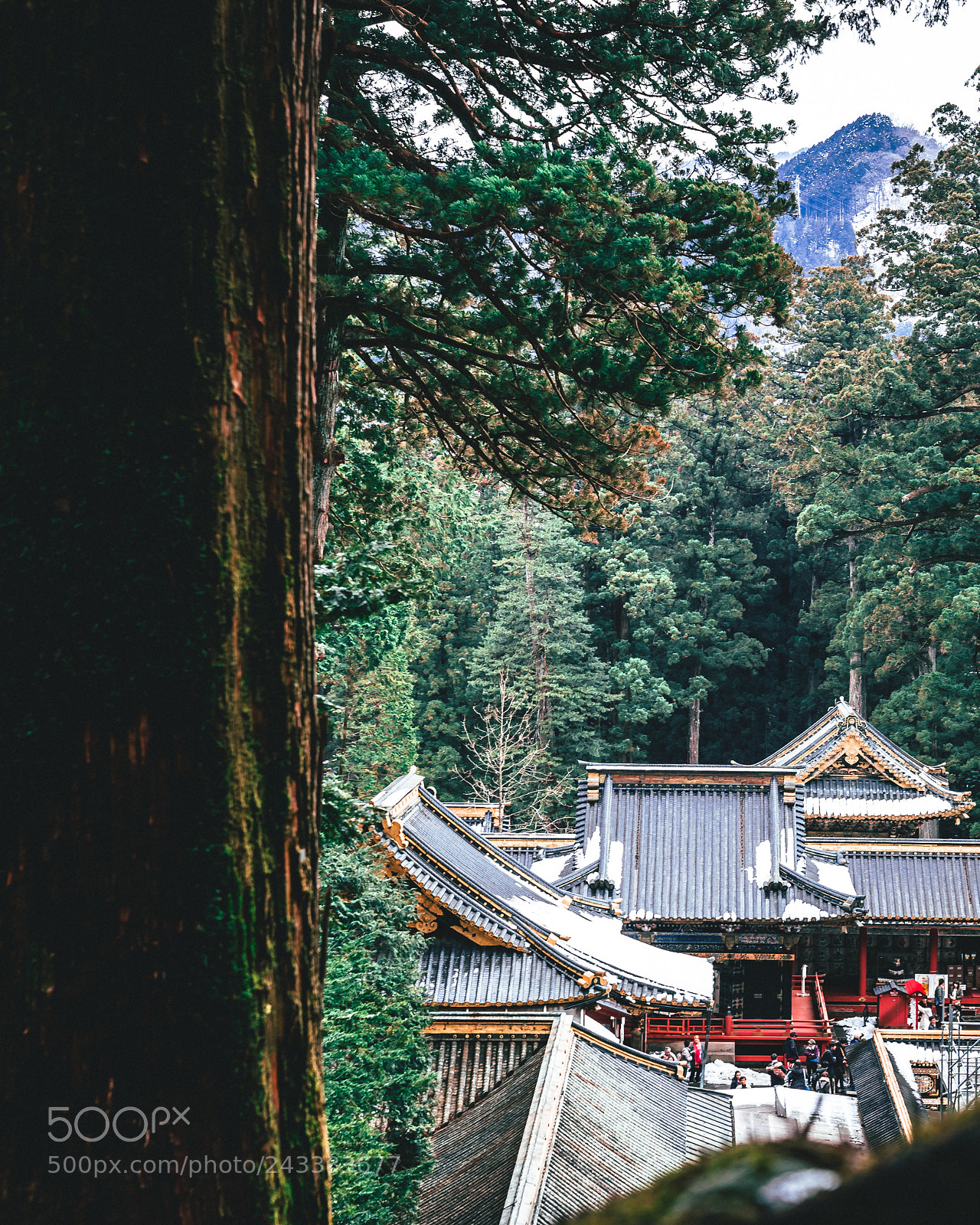 Sony a7 II sample photo. Tocho-gu shrine photography