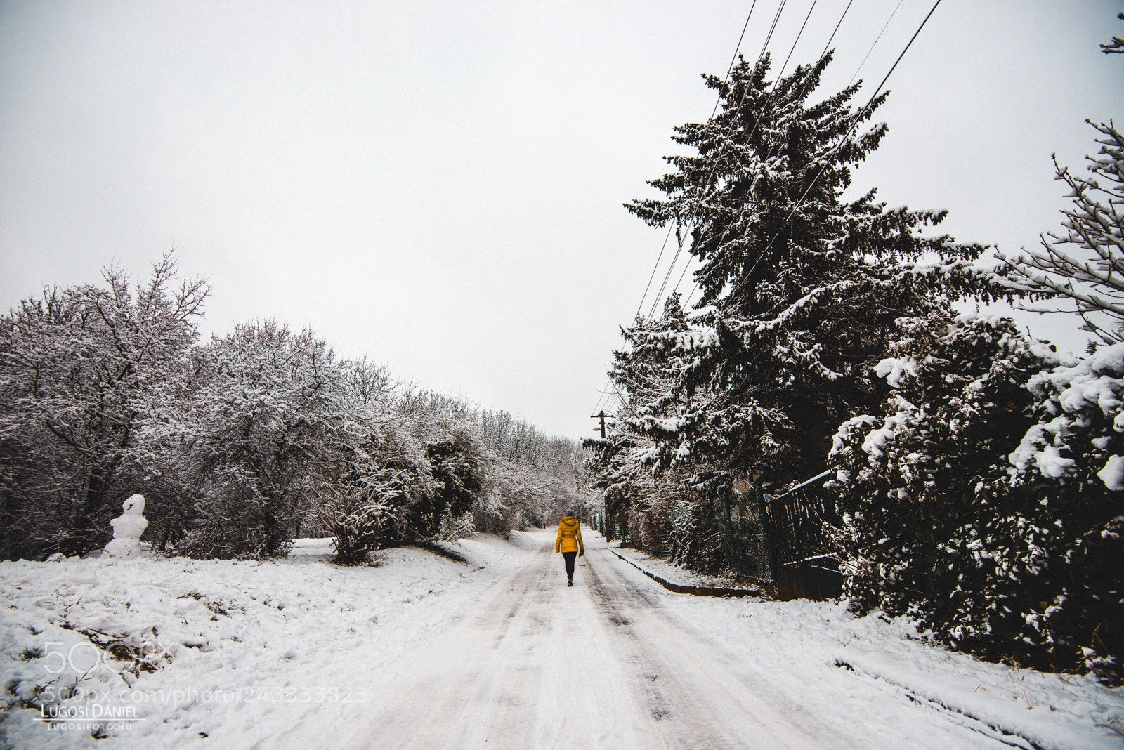Nikon D610 sample photo. Girl in the snow photography