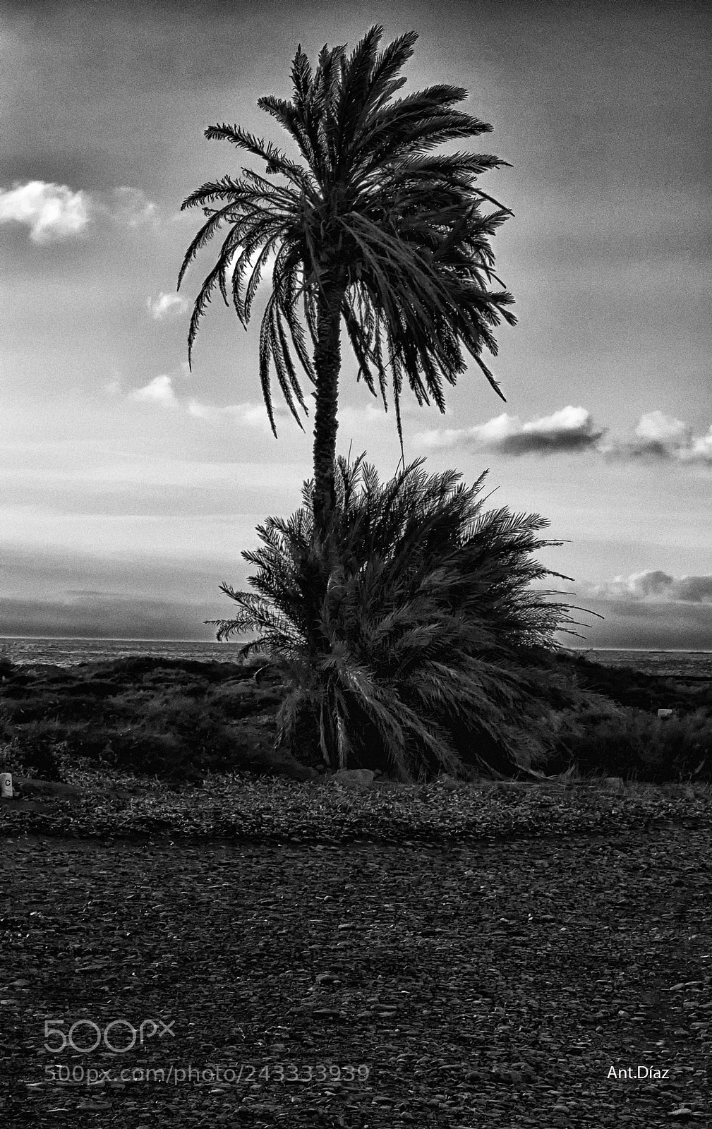 Nikon 1 V1 sample photo. Juncalillo-gran canaria-canary island photography