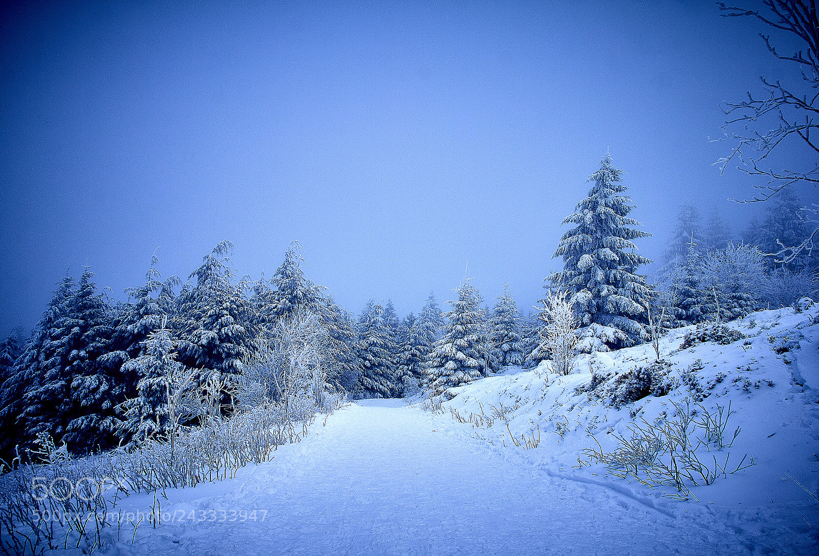 Canon EOS 60D sample photo. Beautiful winterday photography