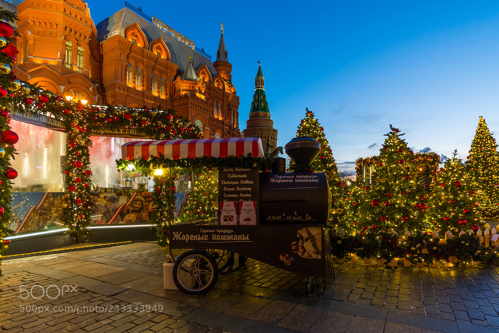 Nikon D600 sample photo. Moscow, russia - january photography