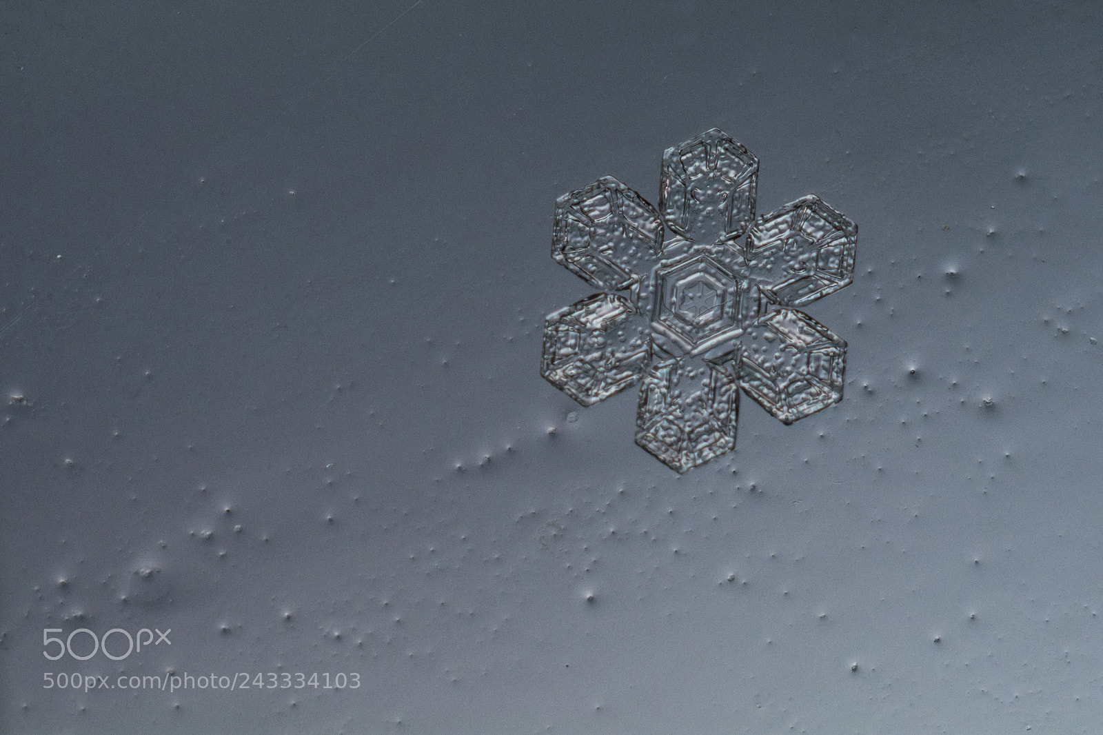 Nikon D7100 sample photo. Snowflake photography