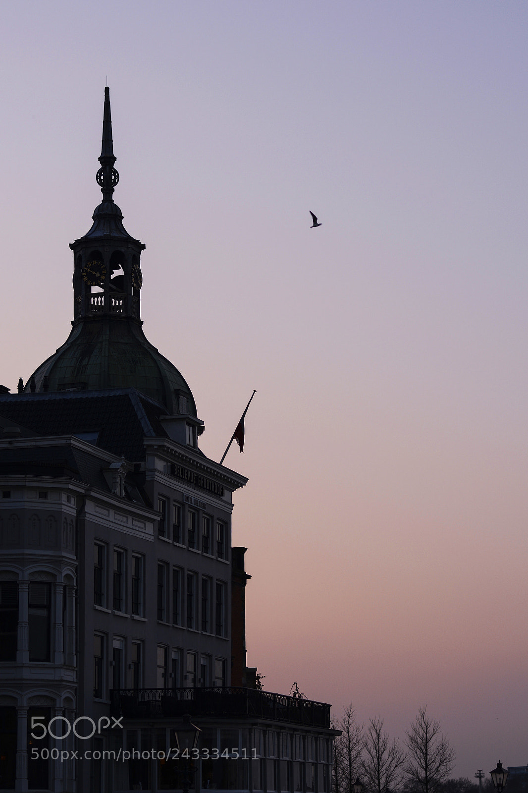 Nikon D7100 sample photo. Fly away photography