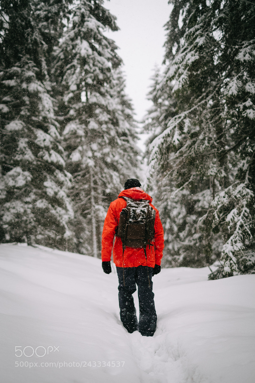 Fujifilm X-T2 sample photo. Winter in the woods photography