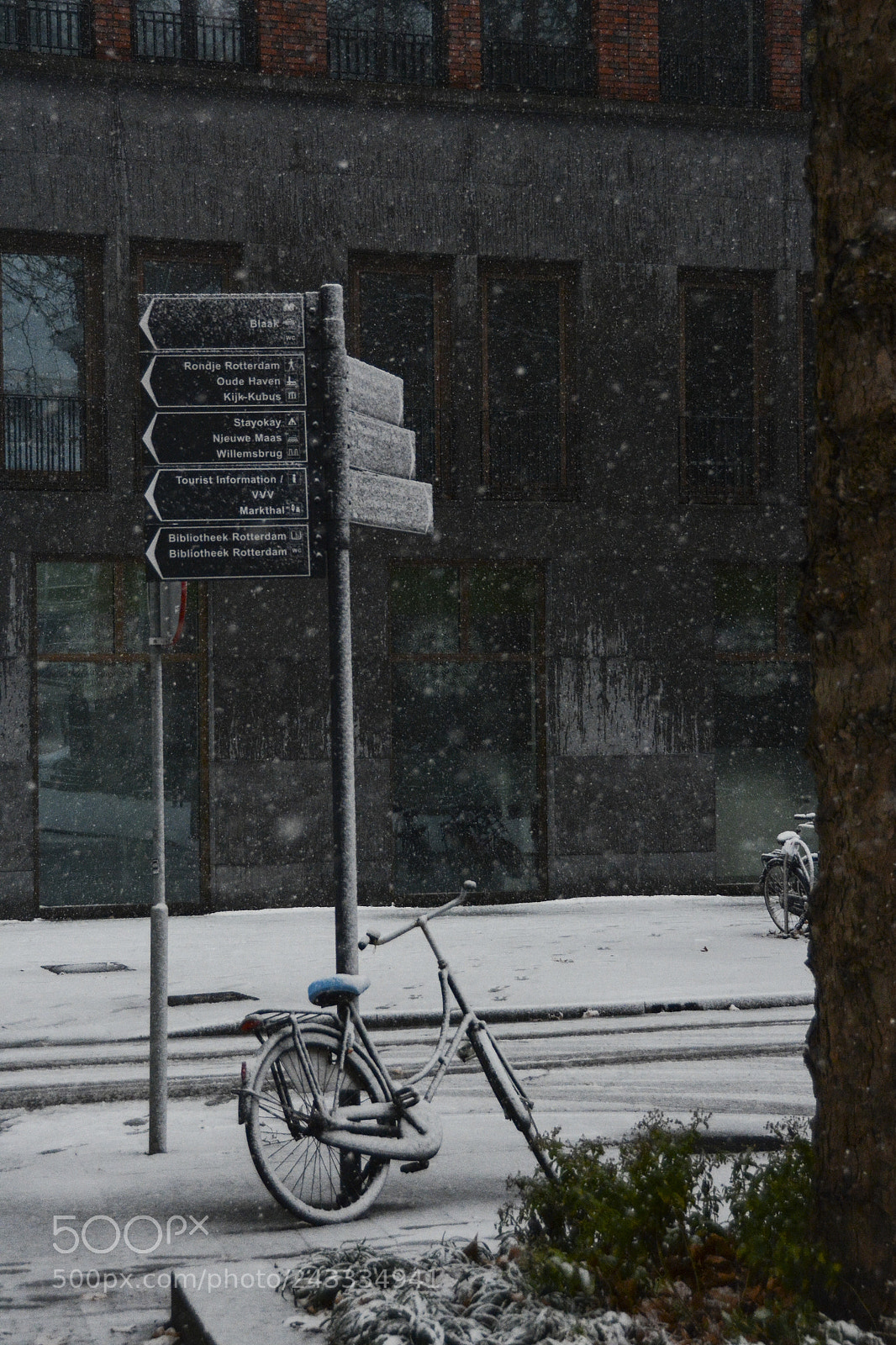 Nikon D7100 sample photo. Snowy directions photography