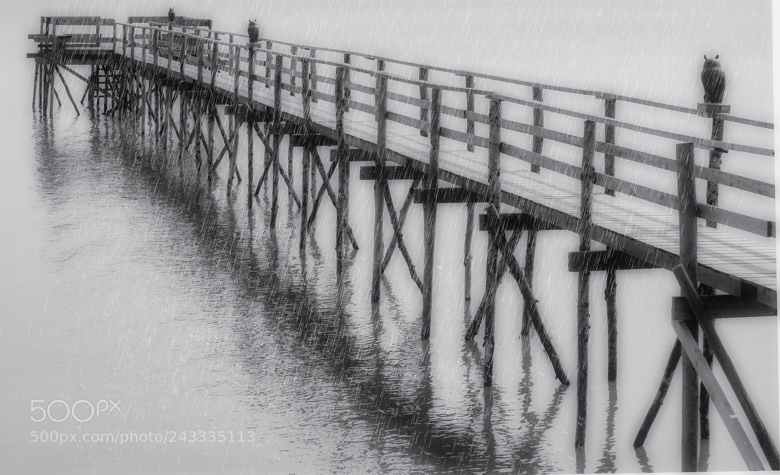 Pentax K200D sample photo. Moody lake photography