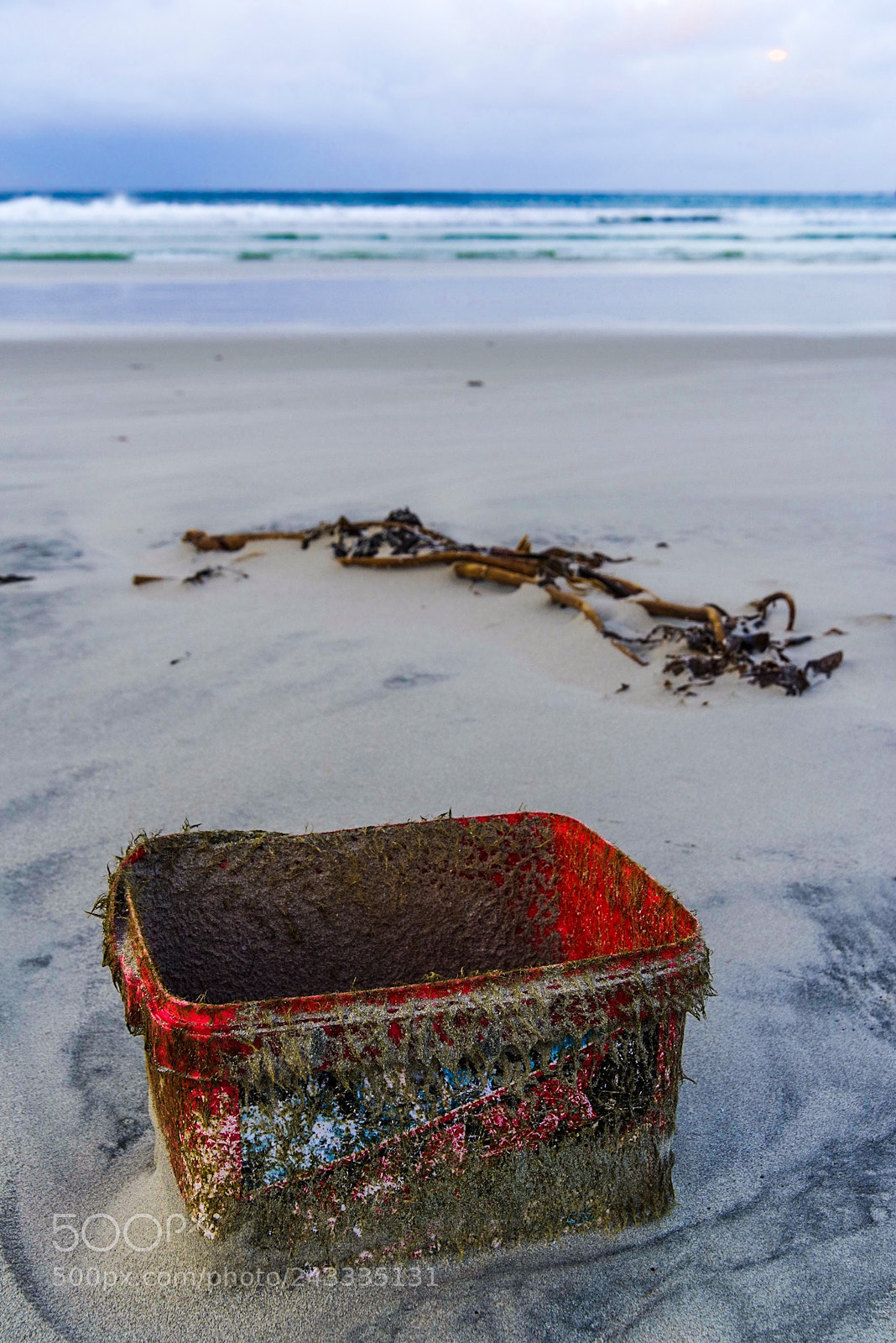 Pentax K-1 sample photo. Untitled photography