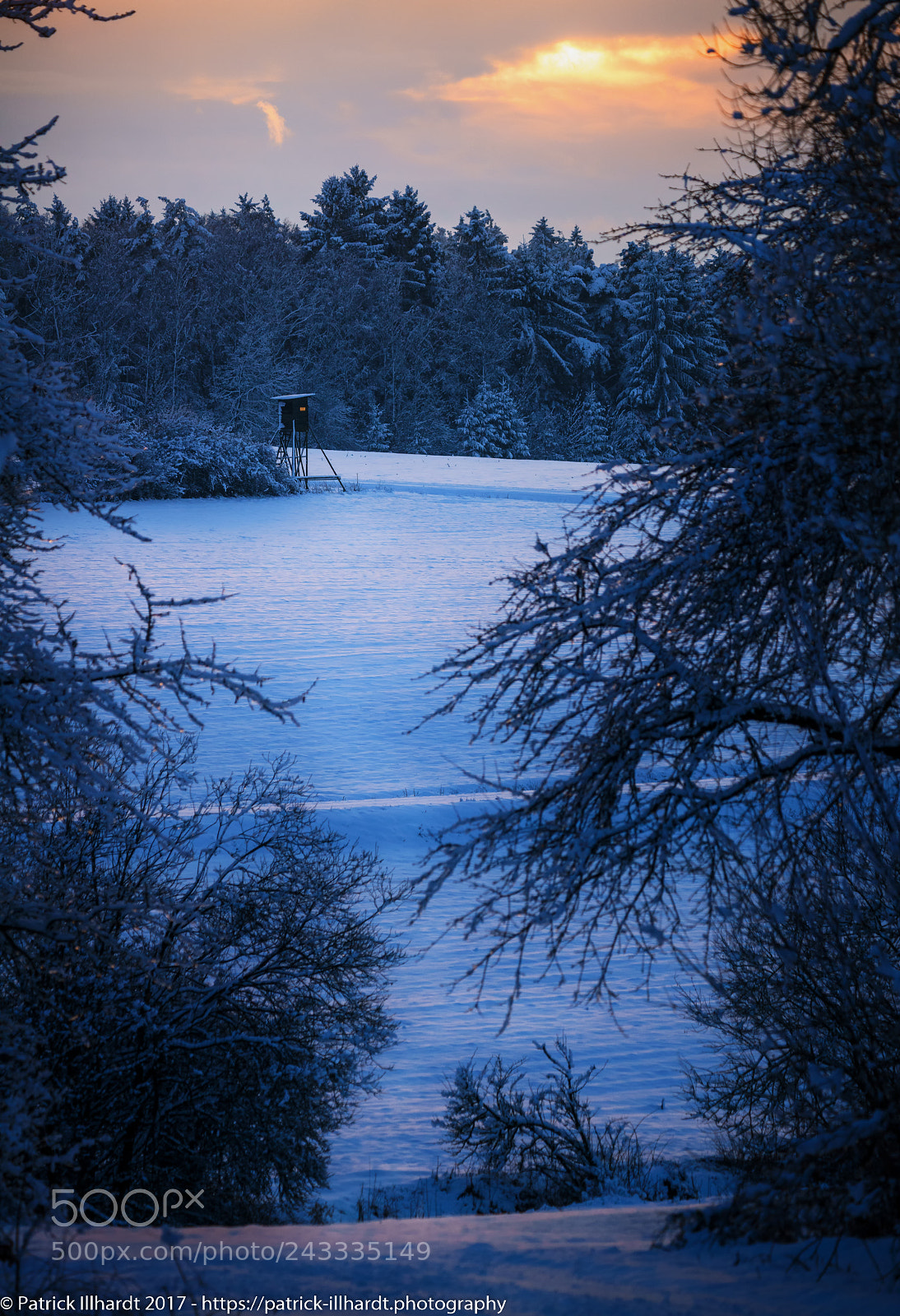 Sony a7R sample photo. Winter evening photography