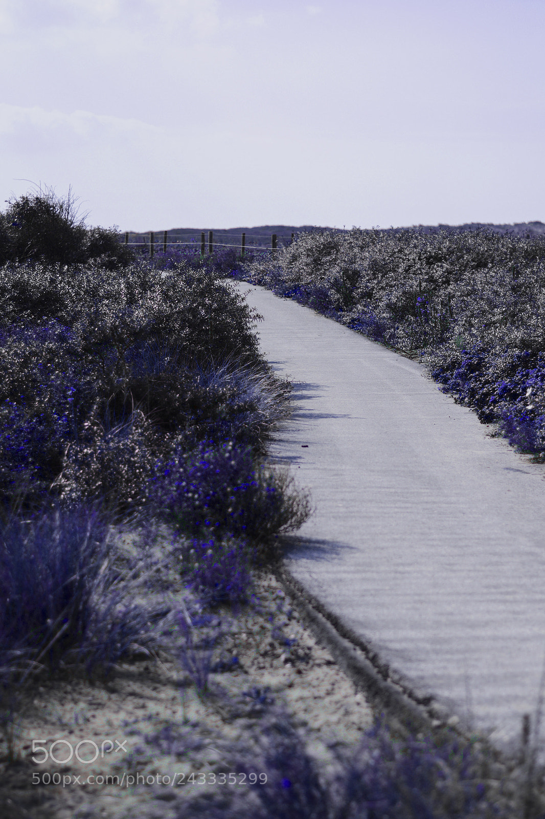 Nikon D7100 sample photo. Blue world photography
