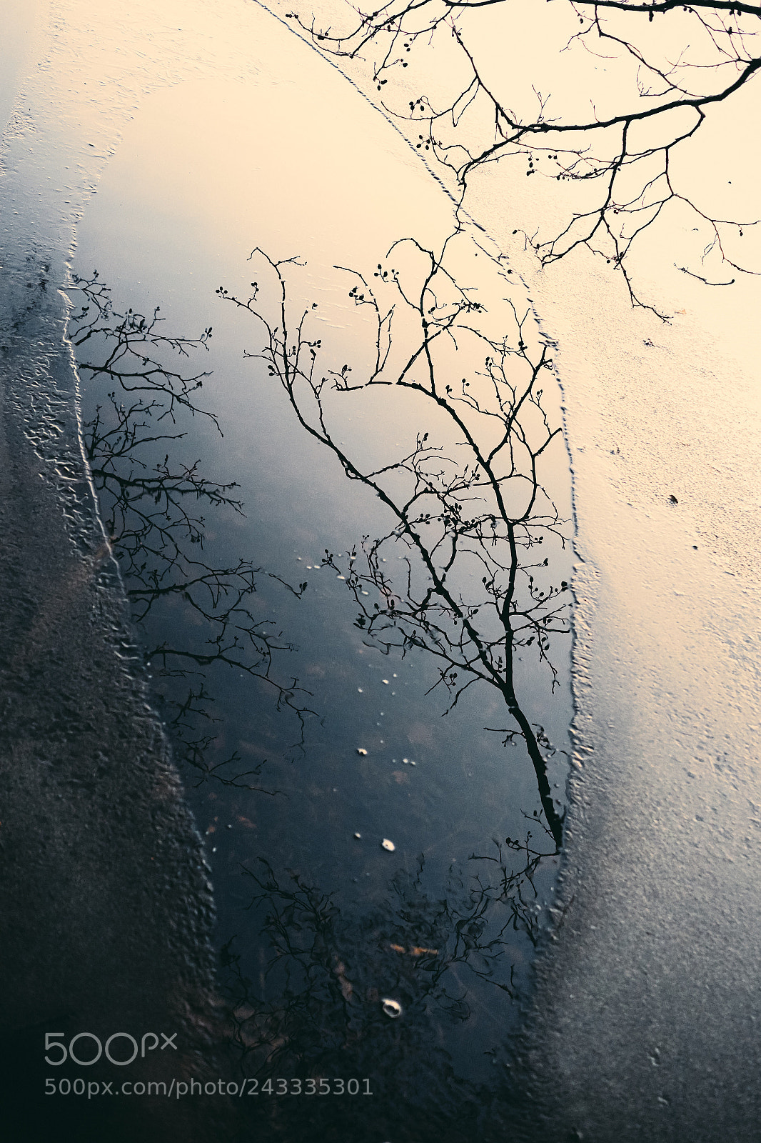 Fujifilm X-Pro1 sample photo. Glimpse the unseen photography