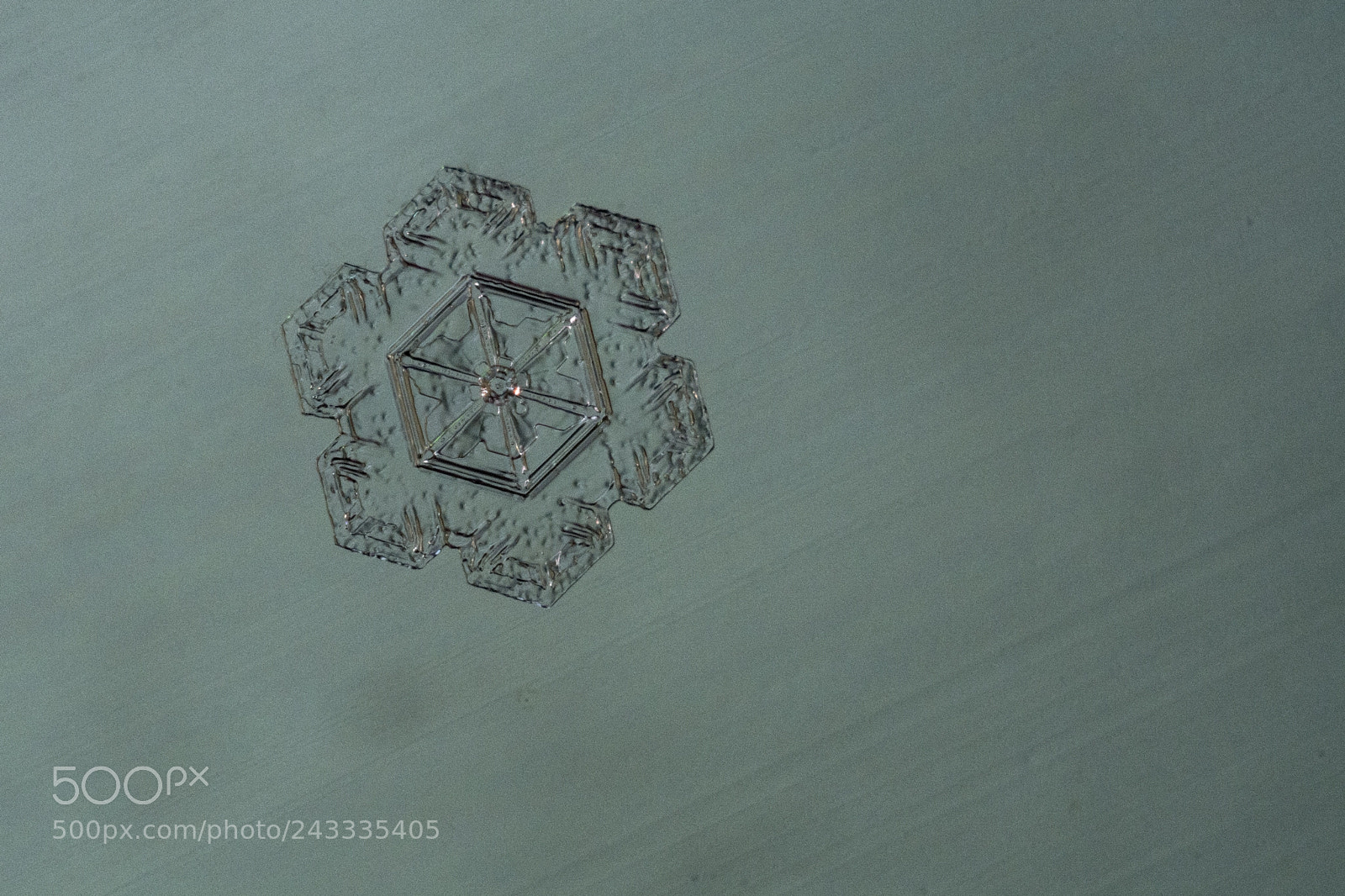 Nikon D7100 sample photo. Snowflake photography