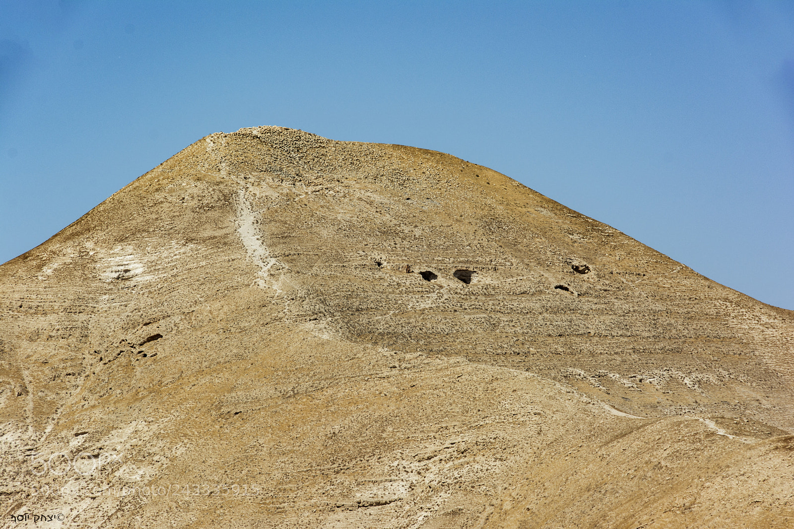 Nikon D7100 sample photo. D photography