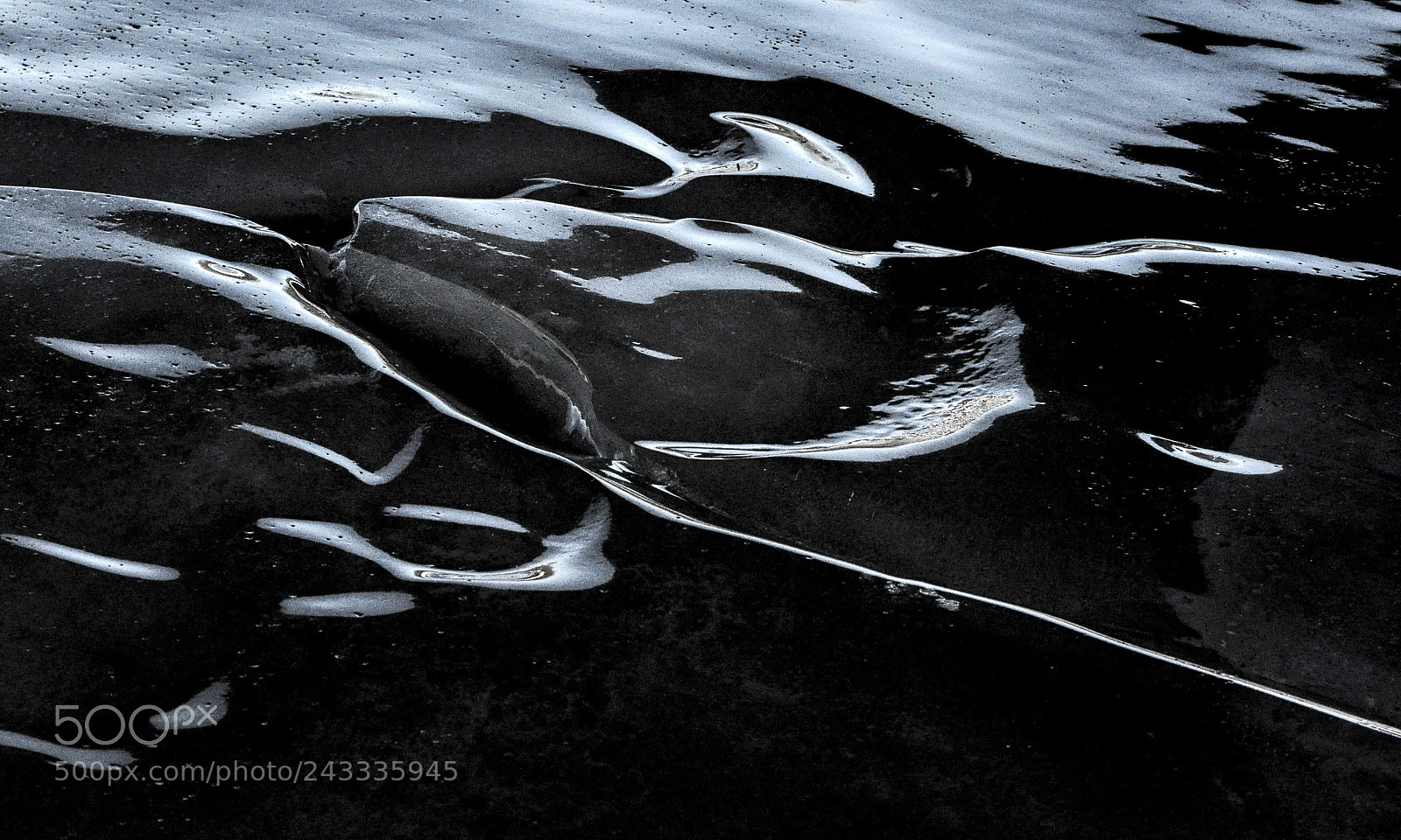 Nikon D90 sample photo. Ice under the bridge photography