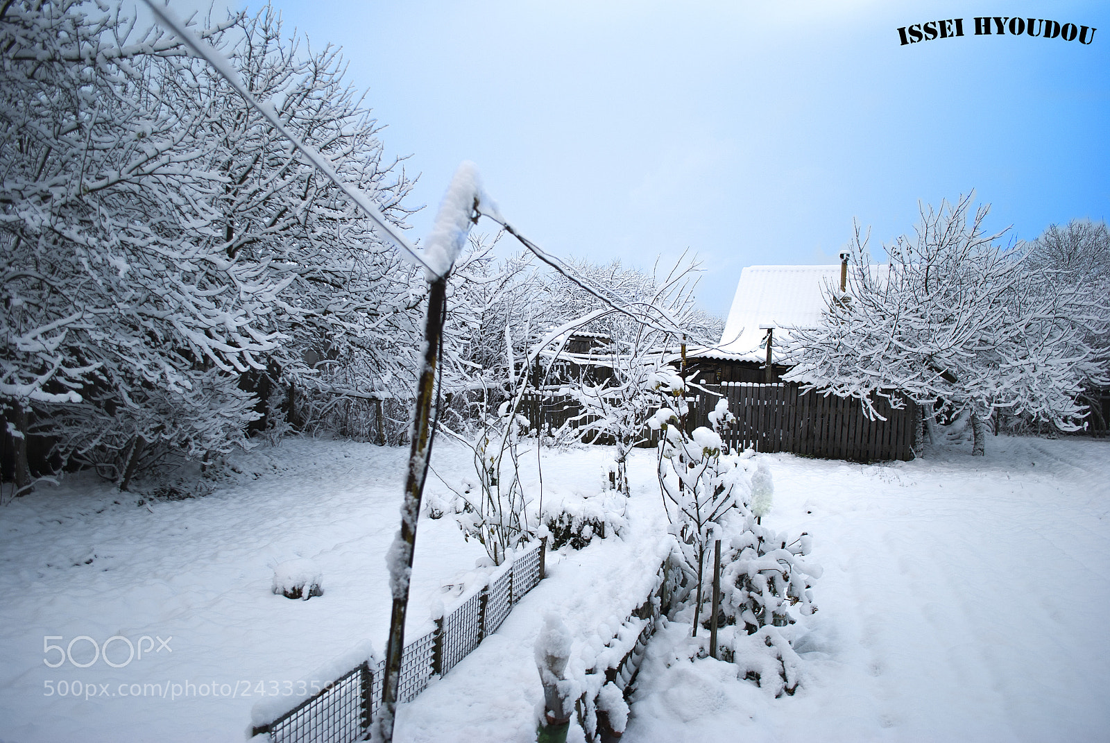 Nikon D3000 sample photo. Зимний двор photography