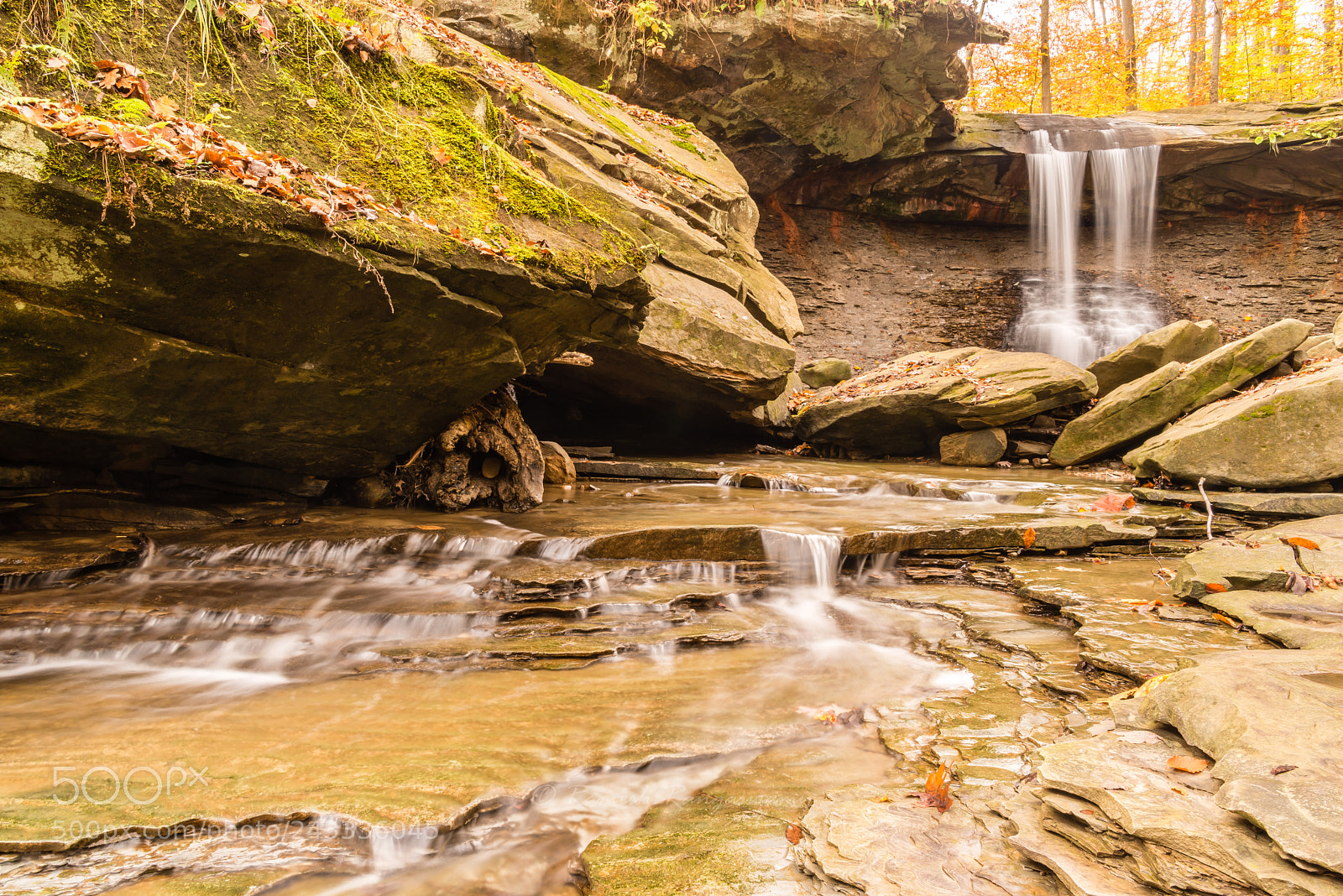 Nikon D800E sample photo. The blue hen falls photography