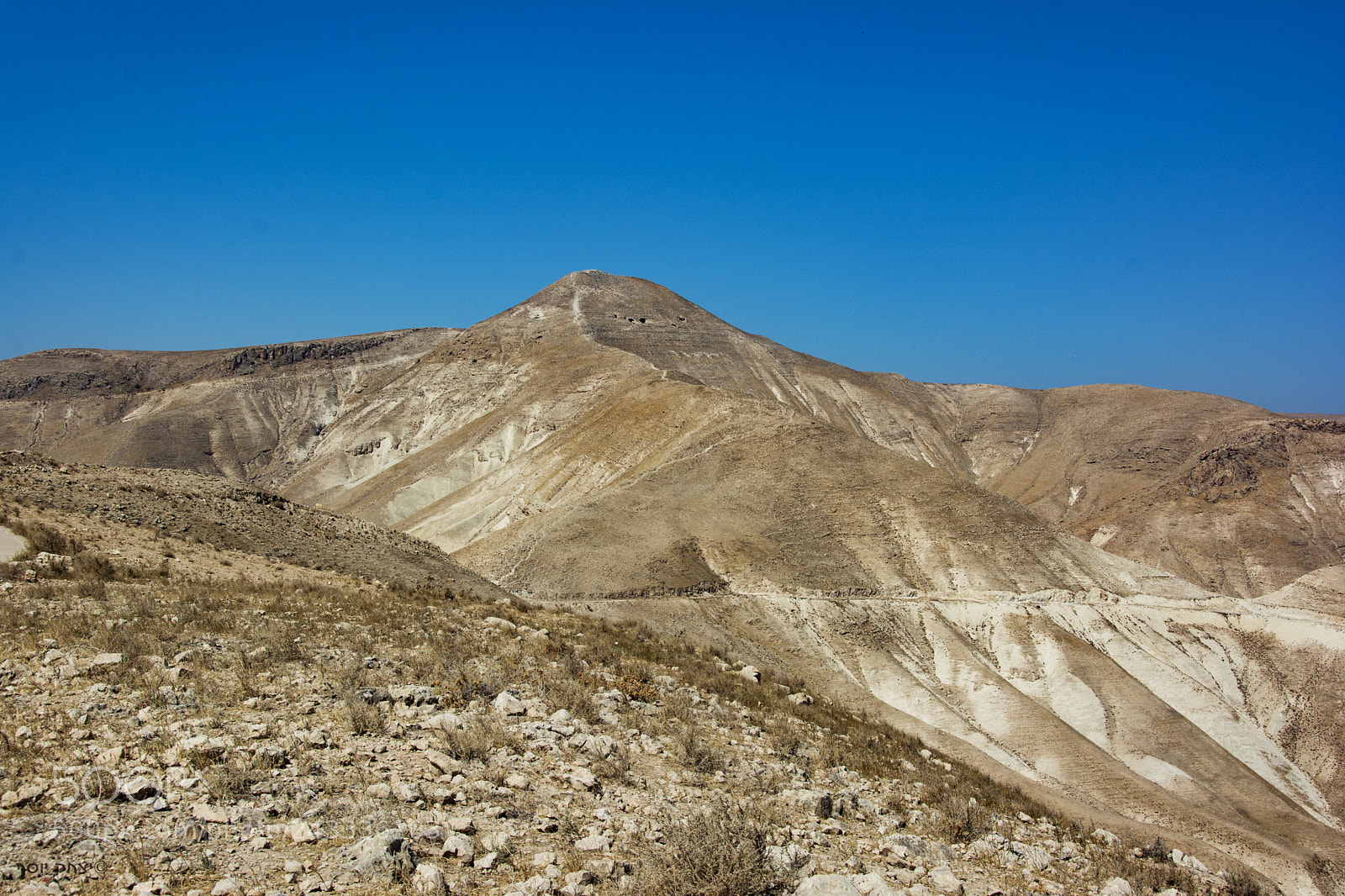 Nikon D7100 sample photo. D photography