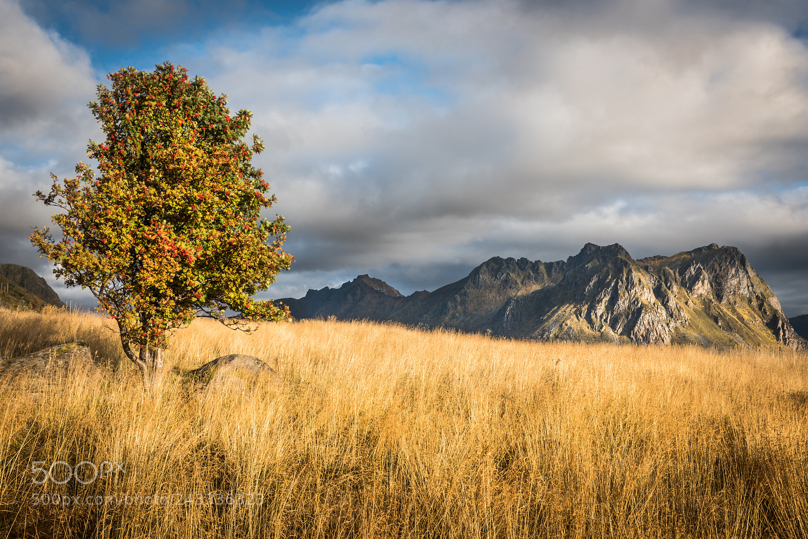Nikon D810 sample photo. Hagskarveien photography