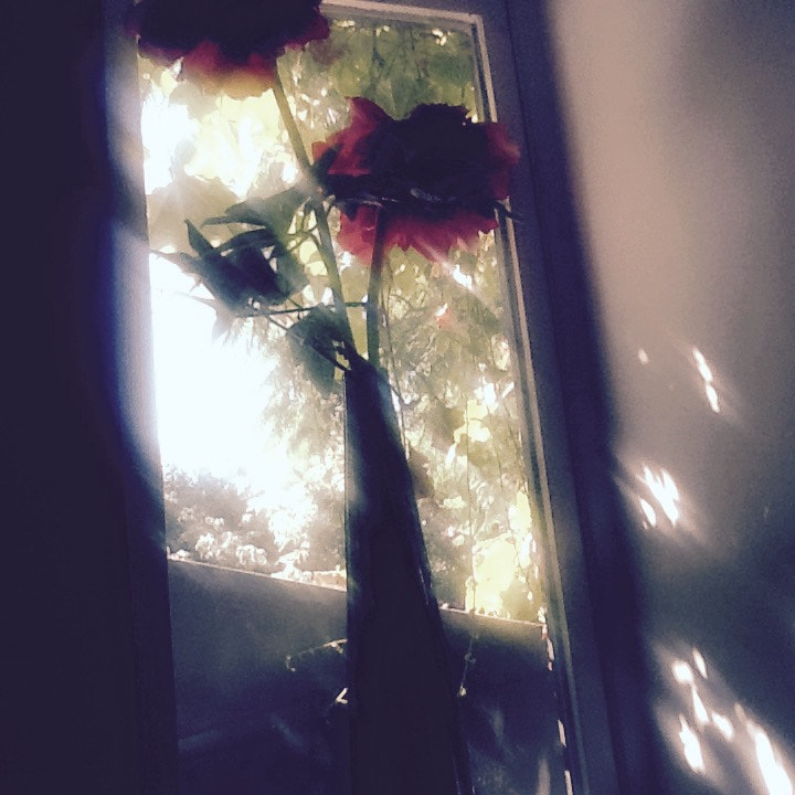 Apple iPad 2 sample photo. Flower photography