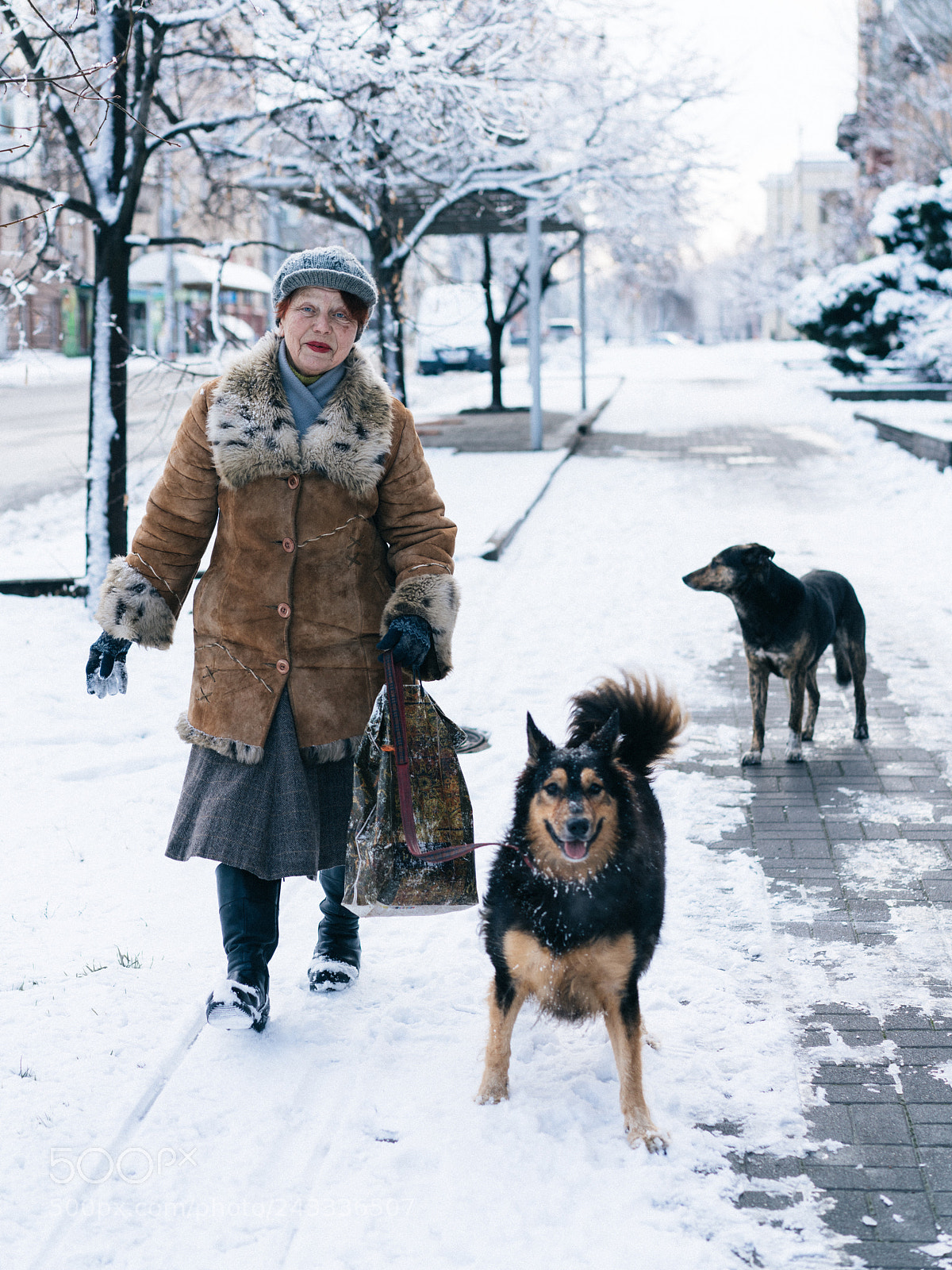 Sony a7R II sample photo. 251/365 photography