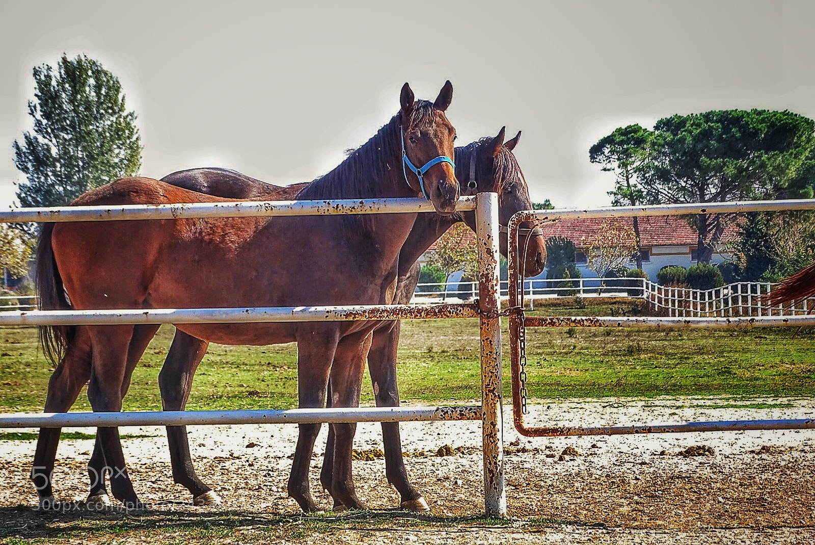 Sony Cyber-shot DSC-HX400V sample photo. Atlar photography