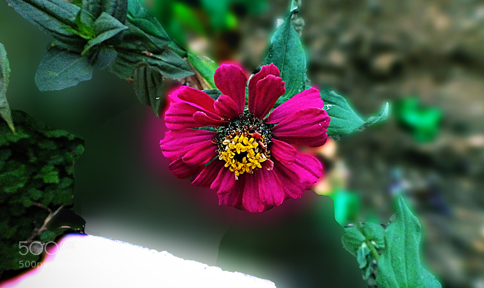 Fujifilm X20 sample photo. Copia photography