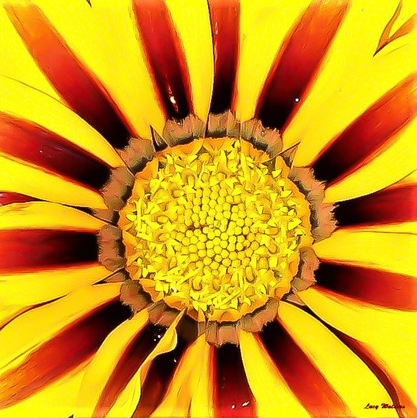 Kodak Z650 ZOOM DIGITAL CAMERA sample photo. Flower head photography